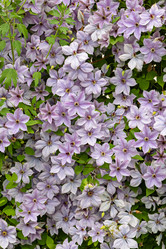 Similar image 21041815