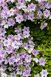 Similar image 21041816