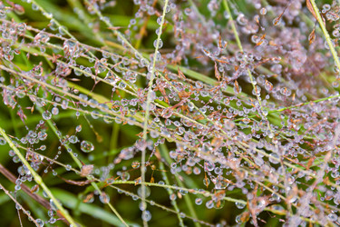 Similar image 21041817