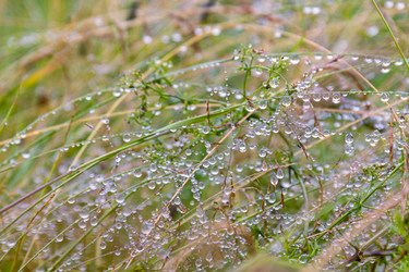 Similar image 21041818