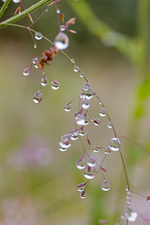 Similar image 21041819