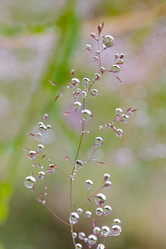 Similar image 21041820