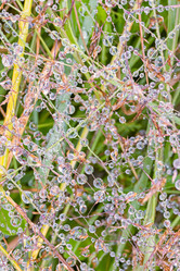 Similar image 21041821