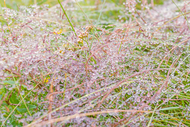 Similar image 21041822