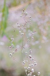 Similar image 21041823