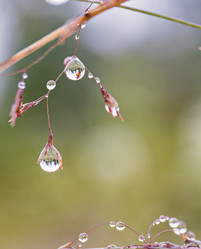 Similar image 21041824