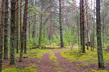 Similar image 21041826