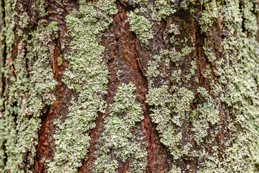 Similar image 21041827