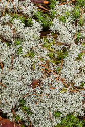 Similar image 21041828