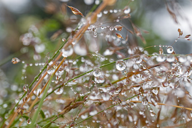 Similar image 21041829