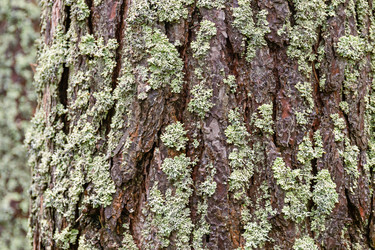 Similar image 21041830