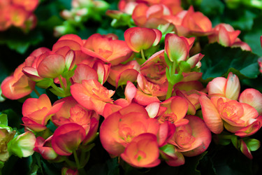 Similar image 21041831