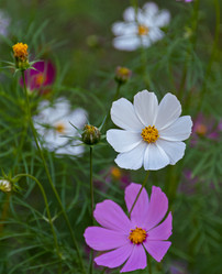 Similar image 21041833