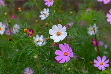 Similar image 21041834