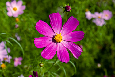 Similar image 21041835