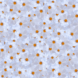 Similar image 21053575