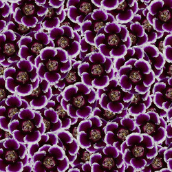 Similar image 21053577