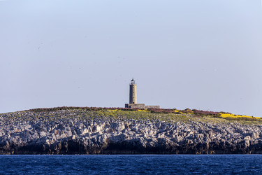 Similar image 21048015