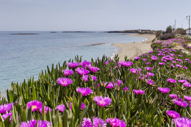 Similar image 21035078