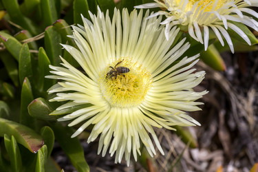 Similar image 21021162