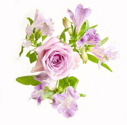 Similar image 21047185