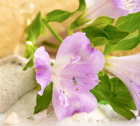 Similar image 21047188