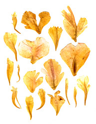 Similar image 21047411