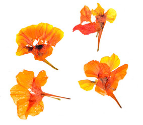 Similar image 21047445