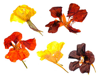 Similar image 21047447