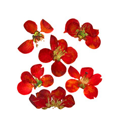 Similar image 21047448