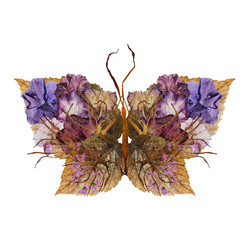 Similar image 21047451