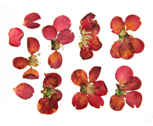 Similar image 21047452