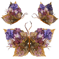 Similar image 21047453