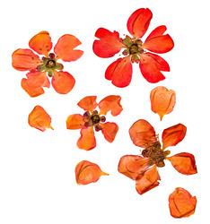 Similar image 21047454