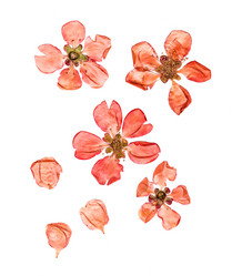 Similar image 21047459