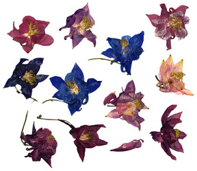 Similar image 21047460