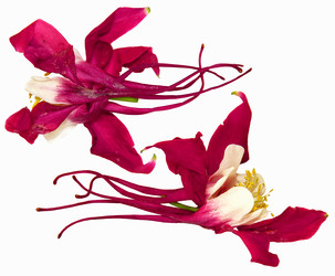 Similar image 21047524