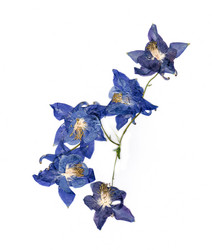 Similar image 21047525