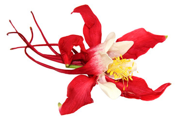 Similar image 21042870