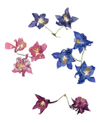 Similar image 21047528