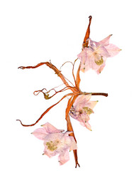 Similar image 21047530