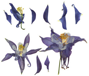 Similar image 21047533