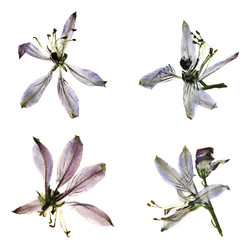 Similar image 21047535