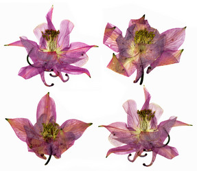 Similar image 21047539