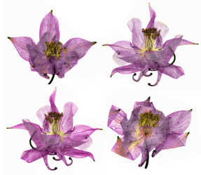 Similar image 21047541