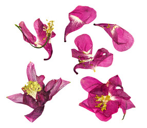 Similar image 21047543