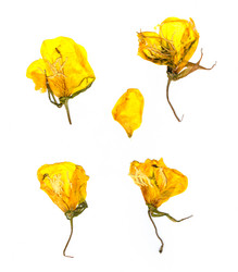 Similar image 21047546