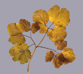 Similar image 21047548