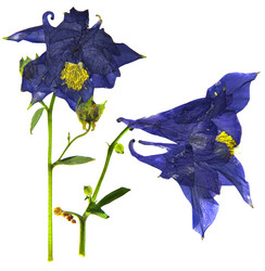 Similar image 21047549