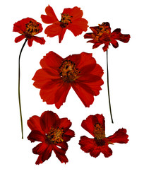 Similar image 21047550